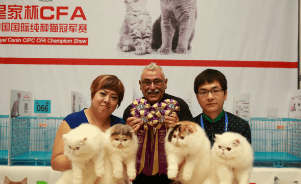 跟句句兽狂欢玩转20届亚宠展！超燃精彩抢先看！