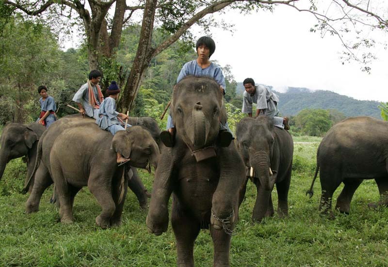 星星少年(2005)的剧照 星星少年(2005)的剧照