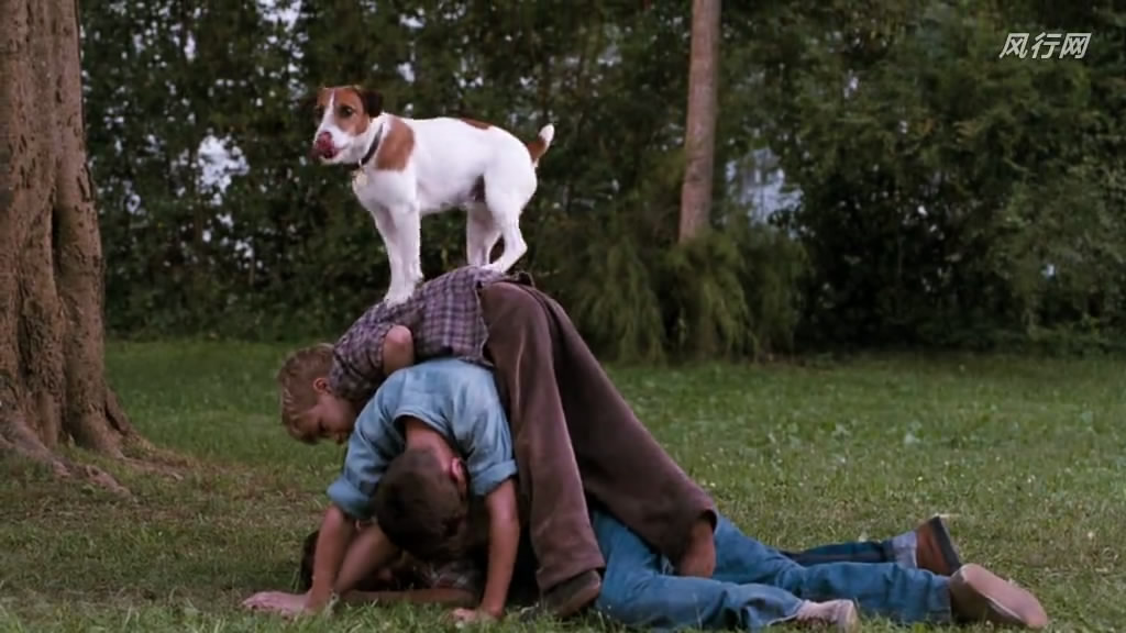 我的小狗斯齐普(2000)的剧照 我的小狗斯齐普(2000)的剧照