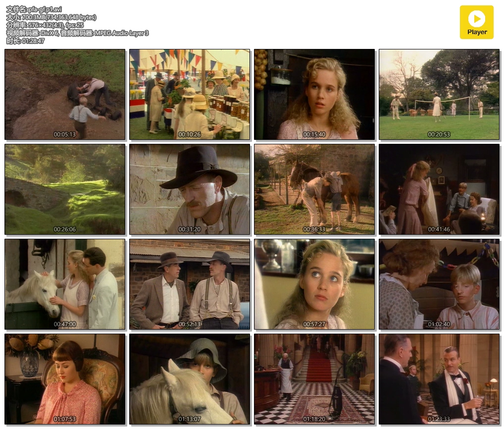 金色小提琴(1991)的剧照 金色小提琴(1991)的剧照