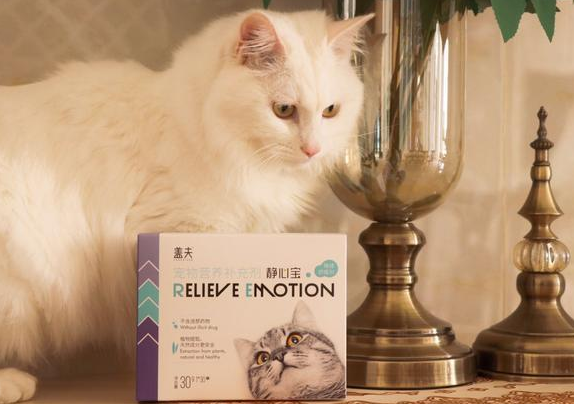 猫咪遇到应激反应怎么办，盖夫静心宝能缓解