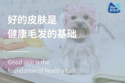 关注宠物健康 从关注舒宠佳开始