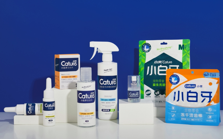 小壳Cature入选36氪WISE2021新经济之王消费生活年度新势力企业