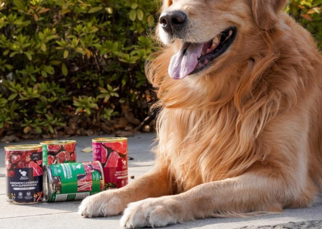 比利玛格罐头怎么样？狗狗的下饭神器！