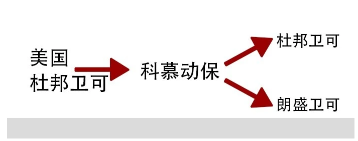 朗盛卫可和杜邦卫可哪个好 朗盛卫可和杜邦卫可哪个好