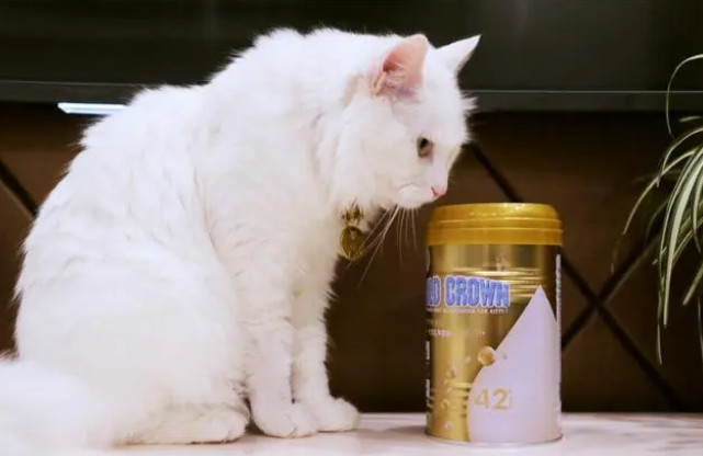 品质入手让人信服，盖夫金冠羊奶粉测评