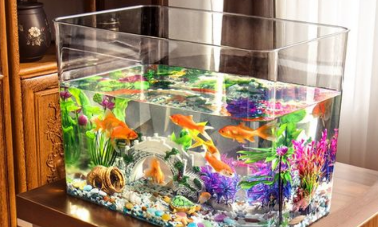 深水鱼缸适合养什么龟,新手快来看 深水鱼缸适合养什么龟,新手快来看