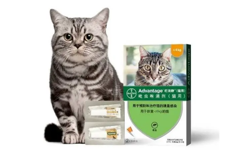 旺滴静：猫咪体外驱虫这样做，轻松解决跳蚤问题