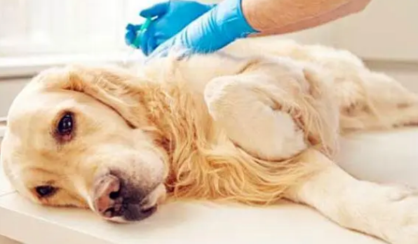 是什么黑色棘皮症？