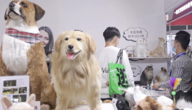 “亚宠展”复开，深圳会展业的信心和智慧