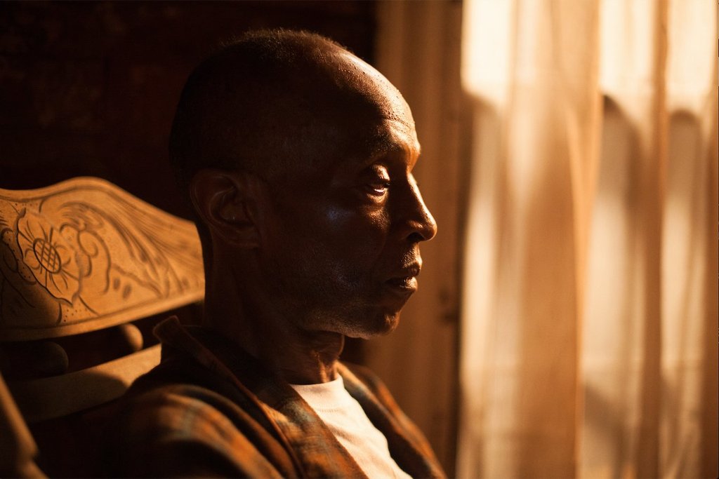 我的外甥艾默特(2017)的剧照 我的外甥艾默特(2017)的剧照