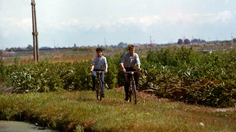 麦香(1986)的剧照 麦香(1986)的剧照