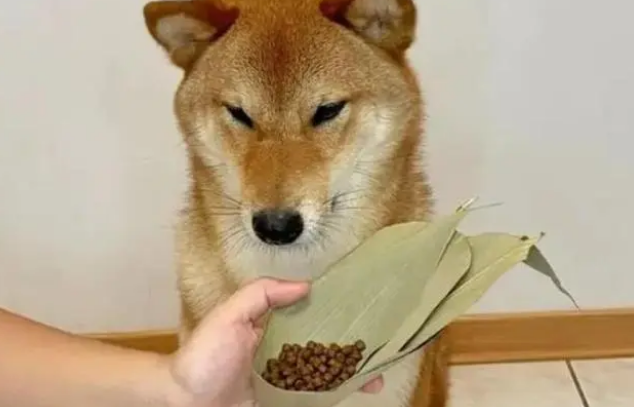 成年柴犬一天吃多少狗粮？