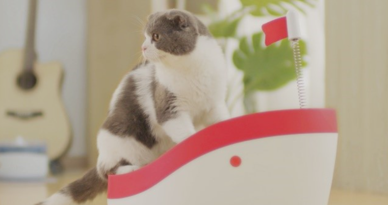 好命天生x《猫的异想世界》，引爆撸猫狂潮！