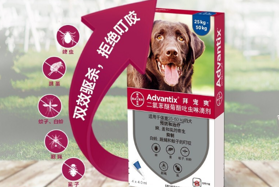 太简单了,拜宠爽狗狗体外驱虫经验分享 太简单了,拜宠爽狗狗体外驱虫经验分享