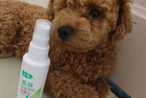 预防和杀虫，还得看小宠！