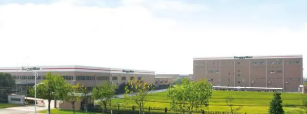 58载的日本多格漫是如何成长起来的