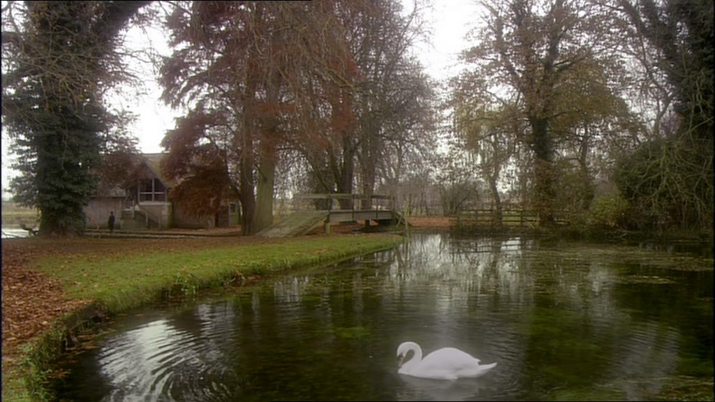 鸽群中的猫(2008)的剧照 鸽群中的猫(2008)的剧照