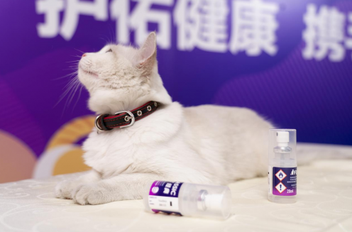 网营科技携手费利威战略合作，探寻千亿宠物赛道下的新增量！