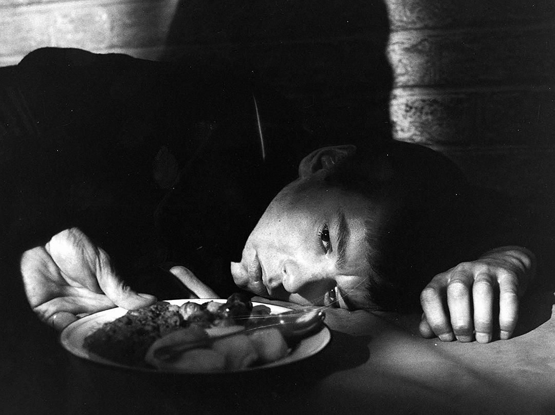 受害者(1961)的剧照 受害者(1961)的剧照