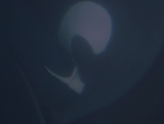 人鱼童话3(1997)的剧照 人鱼童话3(1997)的剧照