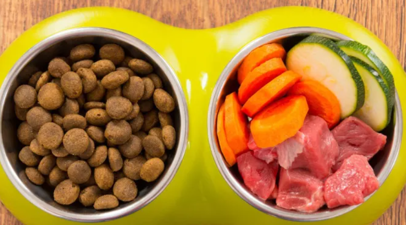 如何挑选狗粮？主要看这4点！