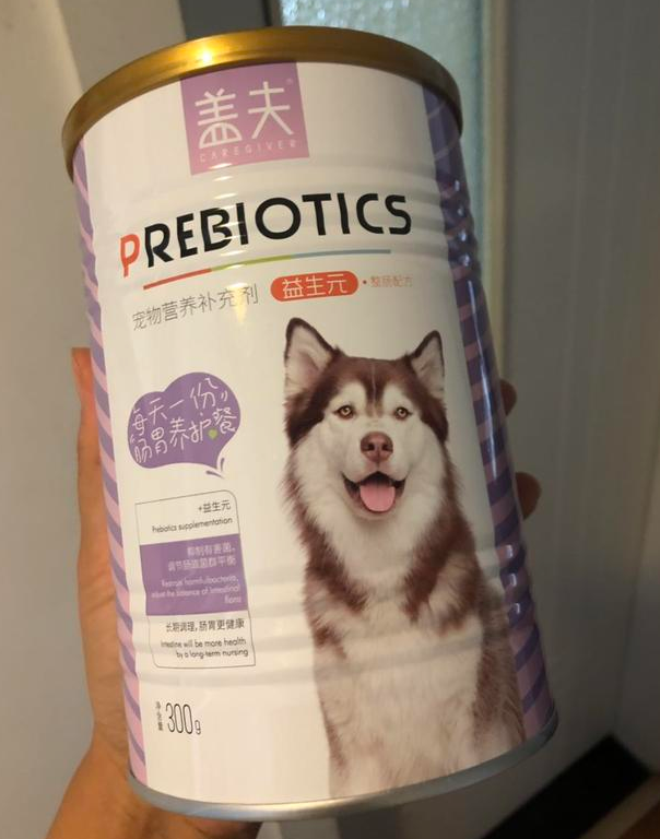 狗狗肠道护理需要谨慎，盖夫益生元效果保证 