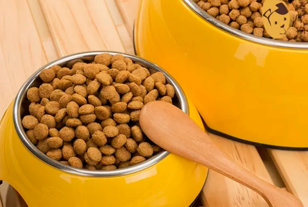 狗粮怎么选？关键看这6点！