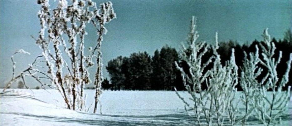 暴风雪(1964)的剧照 暴风雪(1964)的剧照