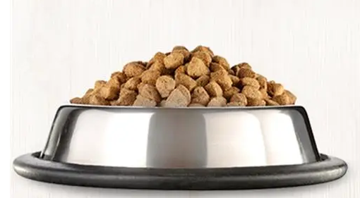 别把换猫粮不当回事，如操作不当猫咪轻则食欲不振，重则致命！