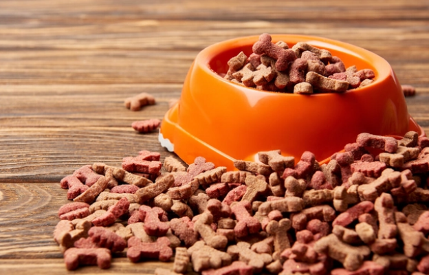 狗狗更换狗粮需要过渡期吗？来了解一下