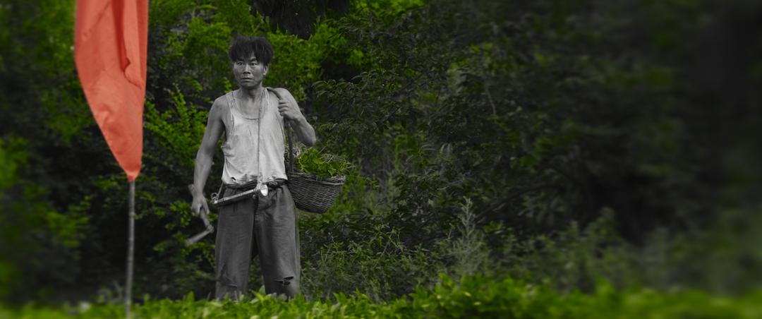 村戏
(2017)的剧照 村戏
(2017)的剧照