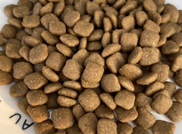 幼犬狗粮怎么泡？正确方法在这！