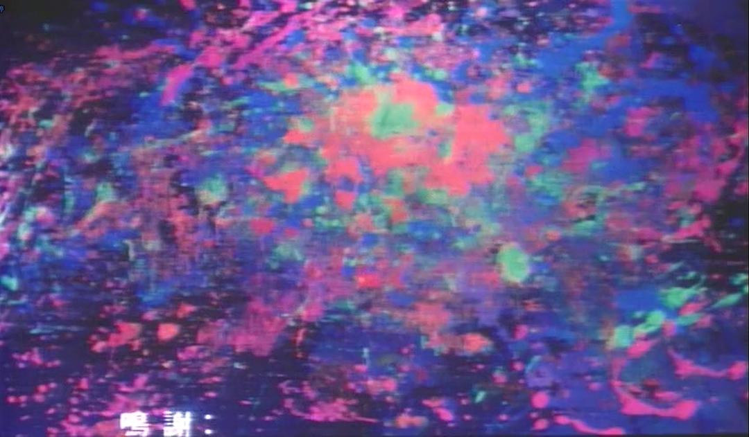 夜激情
(1989)的剧照 夜激情
(1989)的剧照