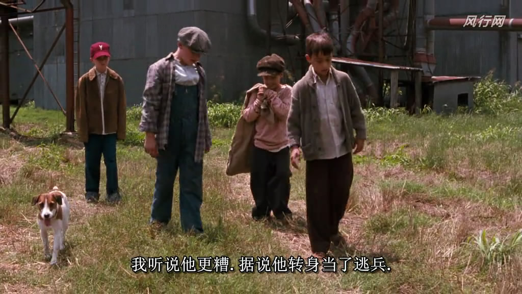 我的小狗斯齐普(2000)的剧照 我的小狗斯齐普(2000)的剧照