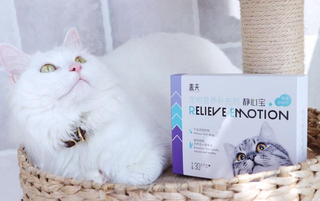 猫咪应激反应怎么安抚，盖夫静心宝有效缓解