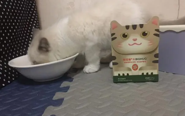 宠物软便克星——布拉迪益生菌新包装上市