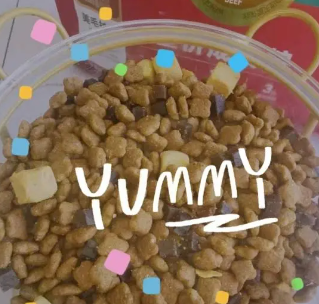 畅销养宠圈的国货之光——麦富迪肉粒粮 畅销养宠圈的国货之光——麦富迪肉粒粮