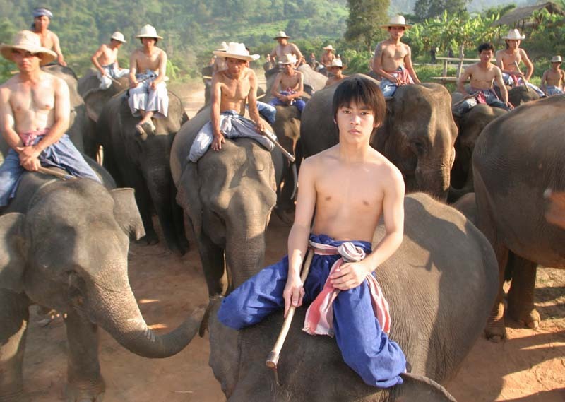 星星少年(2005)的剧照 星星少年(2005)的剧照