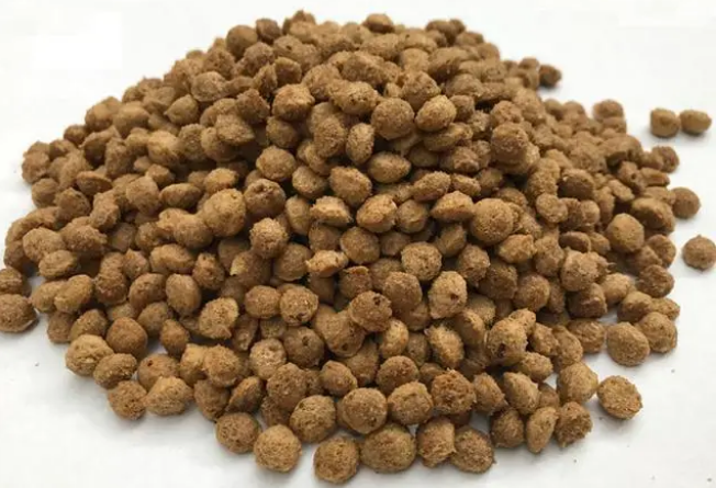 狗窝的4种“病菌”，正在伤害你家狗狗！