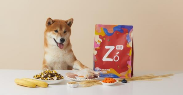 专访 | 秋二宠物入局：拙极狗粮会给大家新维度的选择
