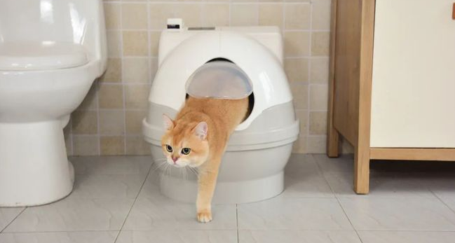 猫洁易秒杀市面上99%的自动猫砂盆，只有我是真.全自动！
