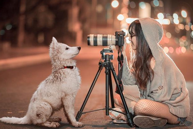 狗狗肠道护理需要谨慎，盖夫益生元效果保证 