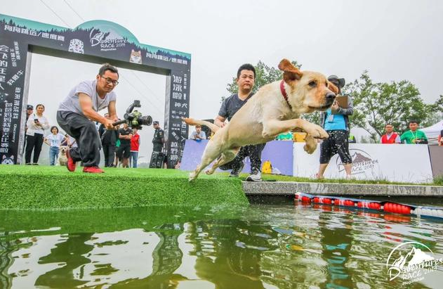 盖夫携Daventures Race山地嘉年华，户外运动会看狗狗肆意撒欢 