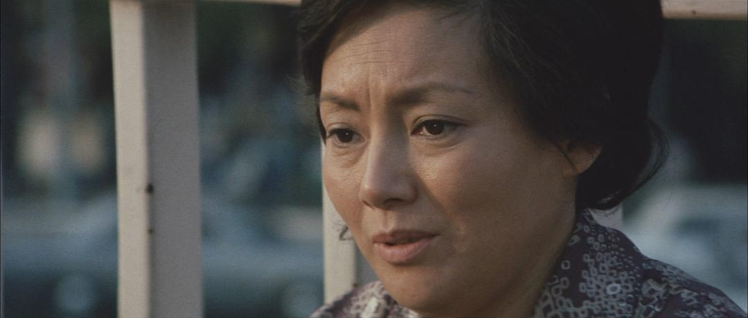 飘舞的军旗下(1972)的剧照 飘舞的军旗下(1972)的剧照