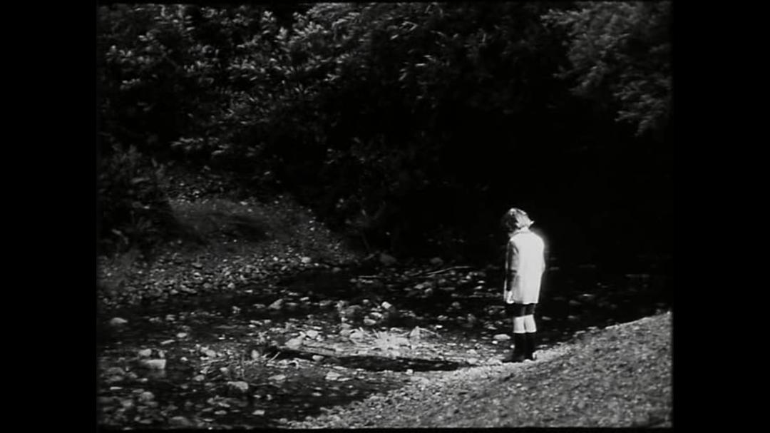 寻宝(1968)的剧照 寻宝(1968)的剧照