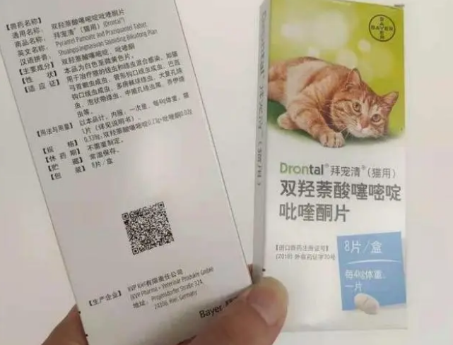拜宠清提醒你定期驱虫，猫咪体内驱虫真的很有必要