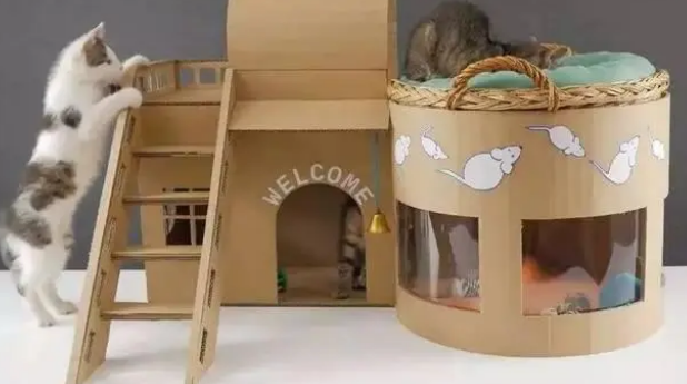 关于猫窝选购的一些建议。猫咪爱睡的猫窝，才是好猫窝