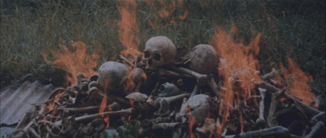 飘舞的军旗下(1972)的剧照 飘舞的军旗下(1972)的剧照