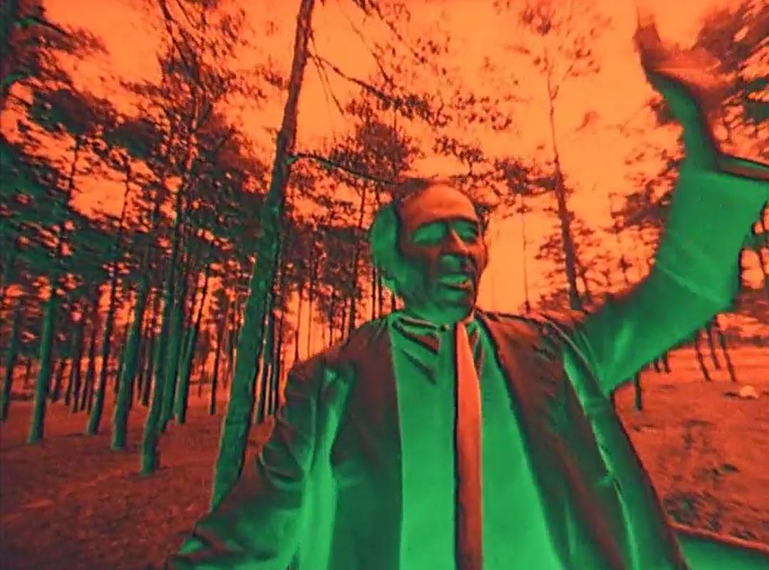 野百合(1972)的剧照 野百合(1972)的剧照